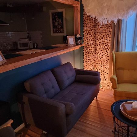 肖蒙Petit Cocon Quartier Historique Chaumont公寓 外观 照片